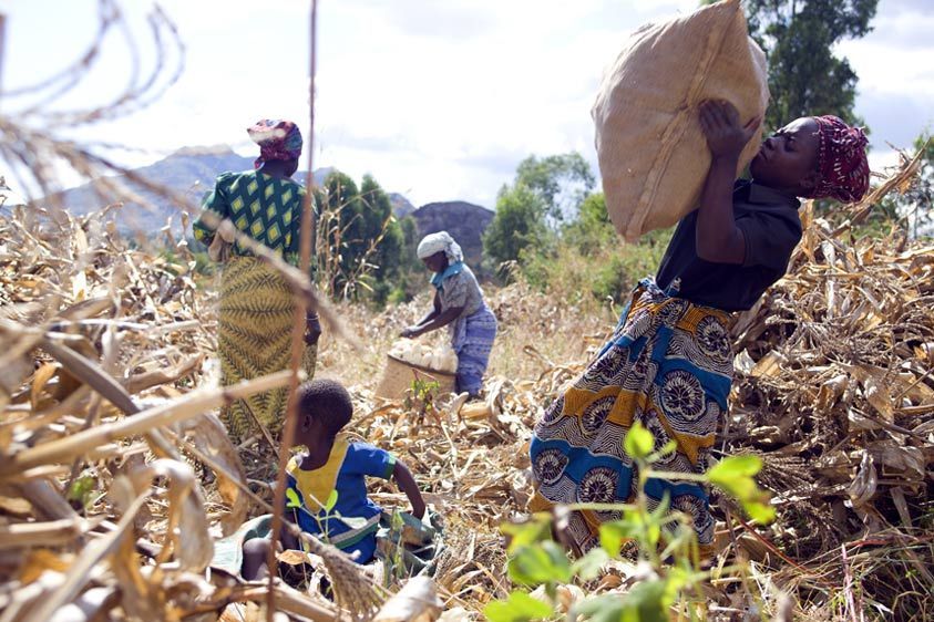 1ssp_CAREMlwi_08May28_007