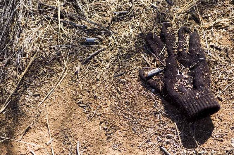 Desert temperatures are often freezing at night, in stark contrast to the heat of the day. Memory of desert nights