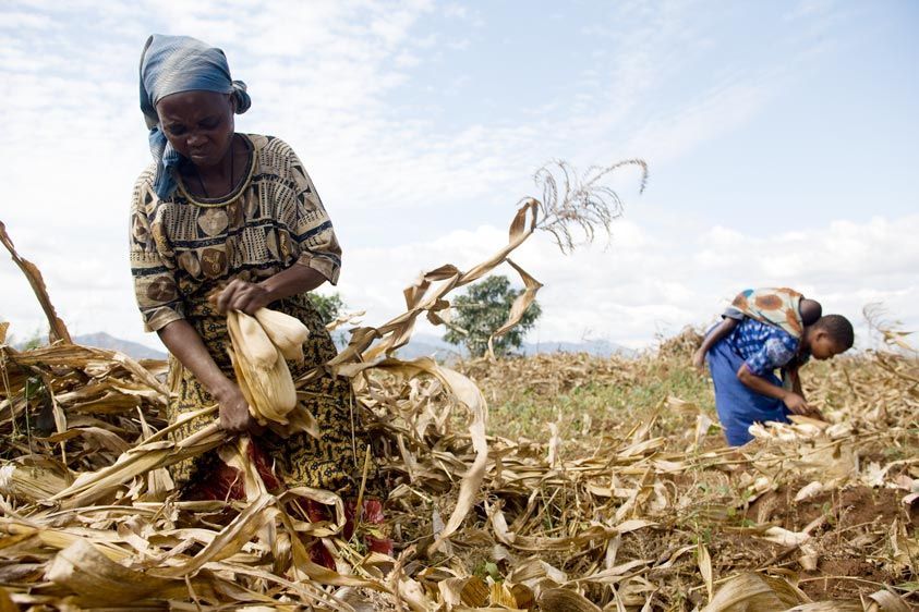 Elise works alongside her young daughter and grandchild. She hopes that the VSL program will bring a better life for her family. Generations in the fields