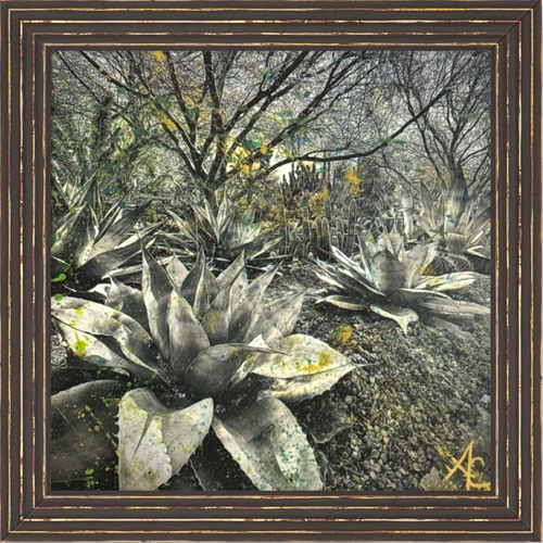 cactus love 3.png