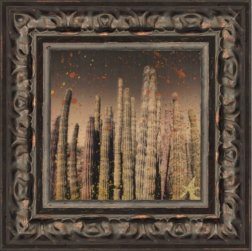 "DESERT CONSTELLATION"