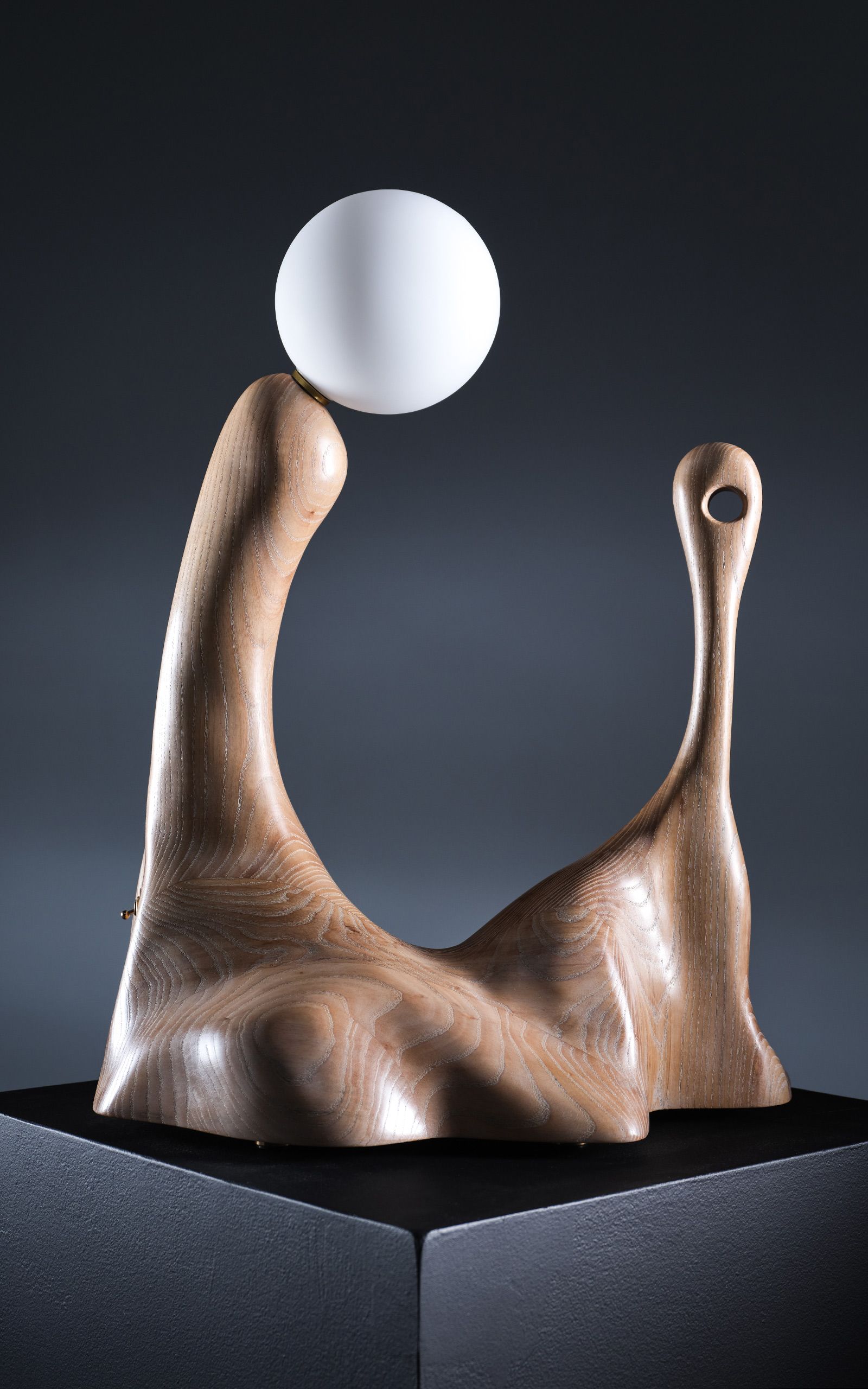 Oates---Lamp-2023.jpg
