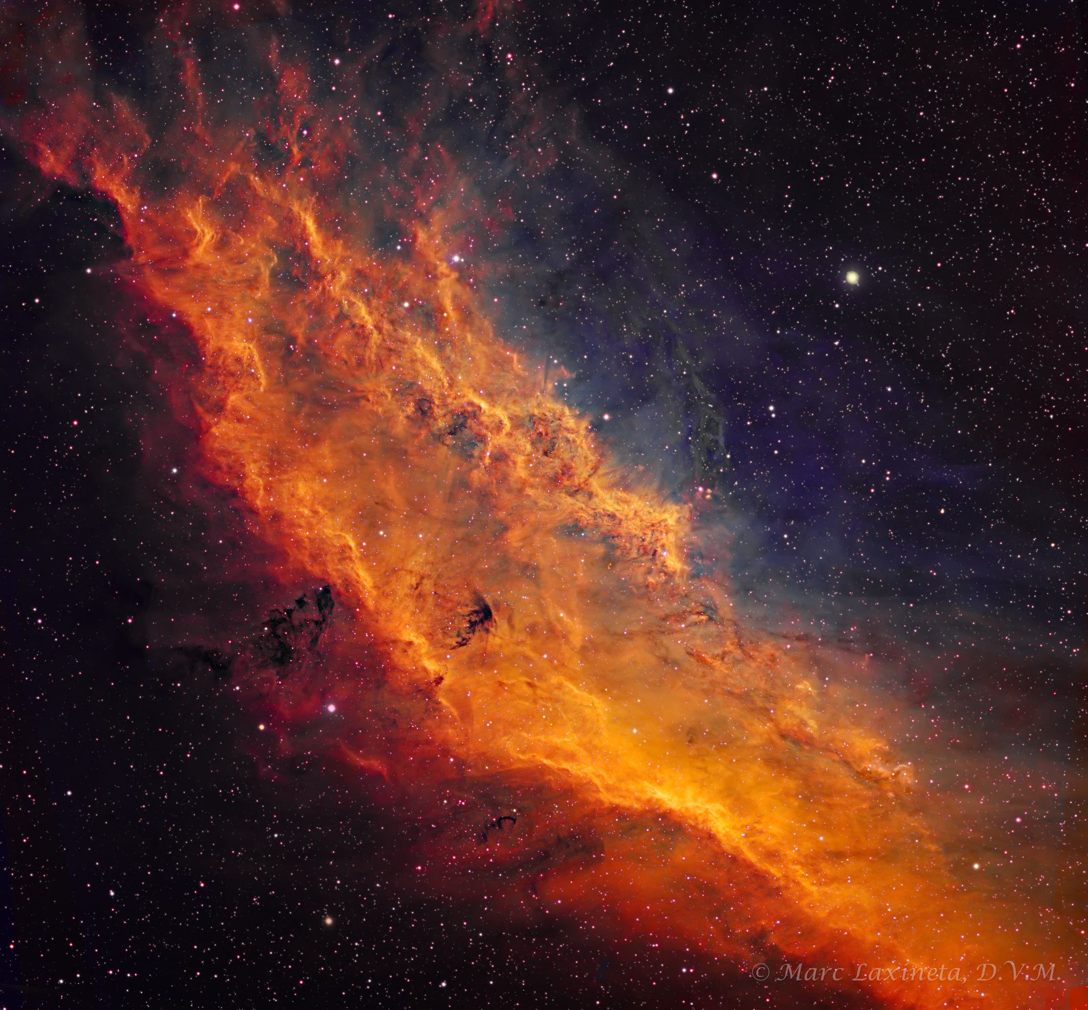 California_Nebula.jpg