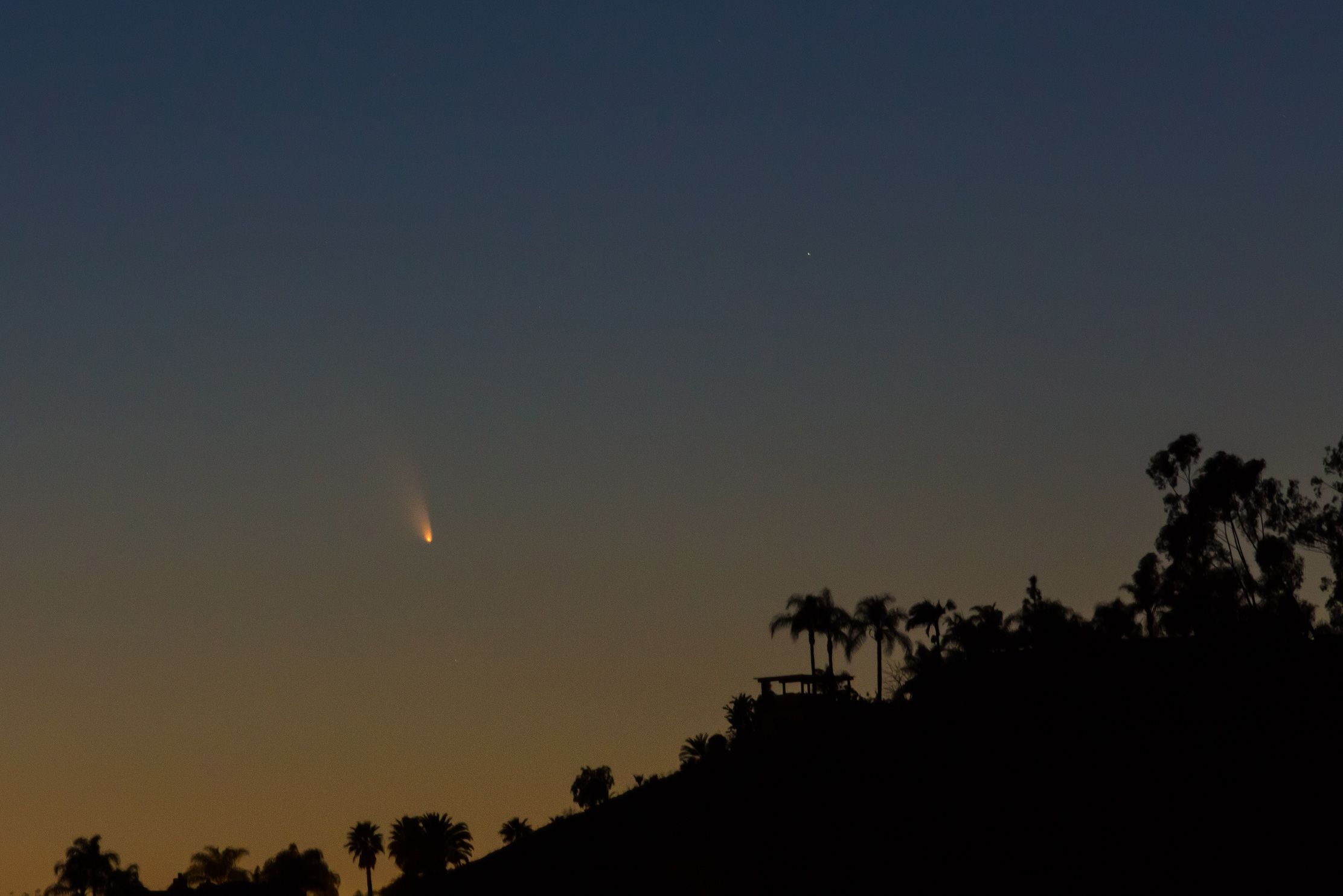 Comet_Panstarrs.jpg