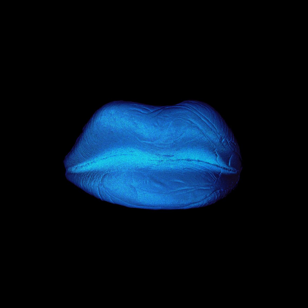 1lipsv3x