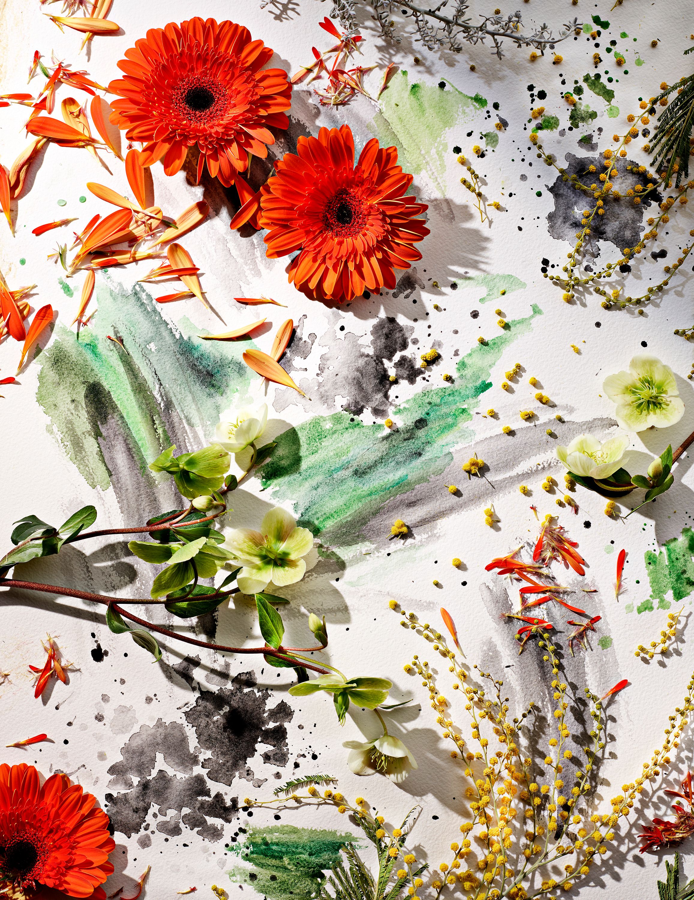 FlowerWatercolor1_842.jpg