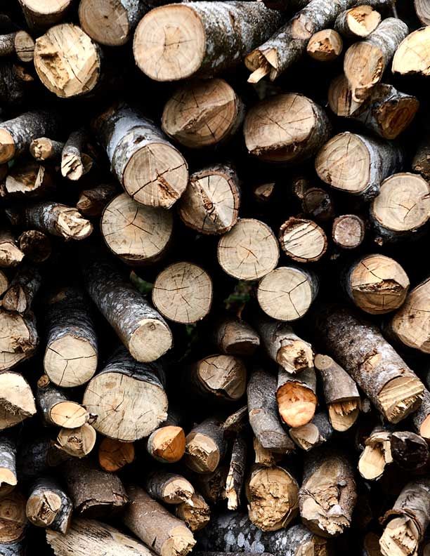 Firewood.jpg
