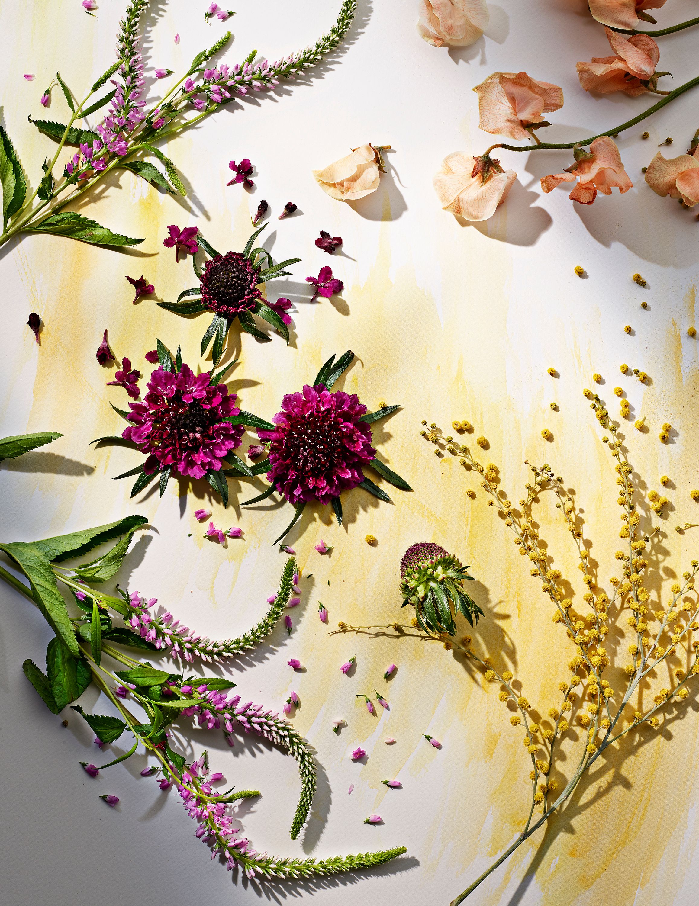 FlowerWatercolor3_864.jpg