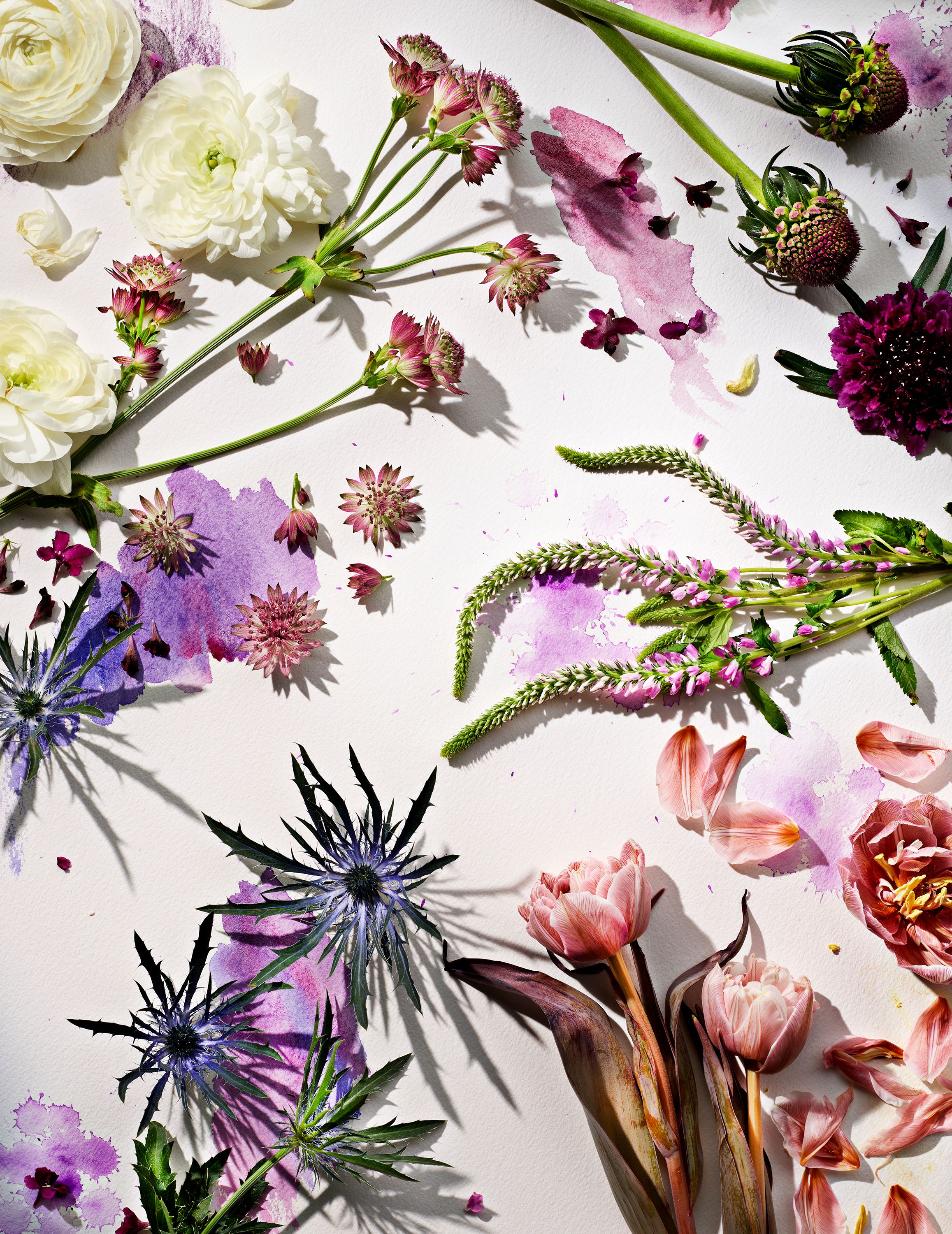FlowerWatercolor2_857.jpg