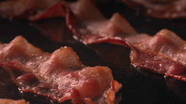 BOTV3881H_BEC_B-is-for-Bacon_2for4_HD_051.gif