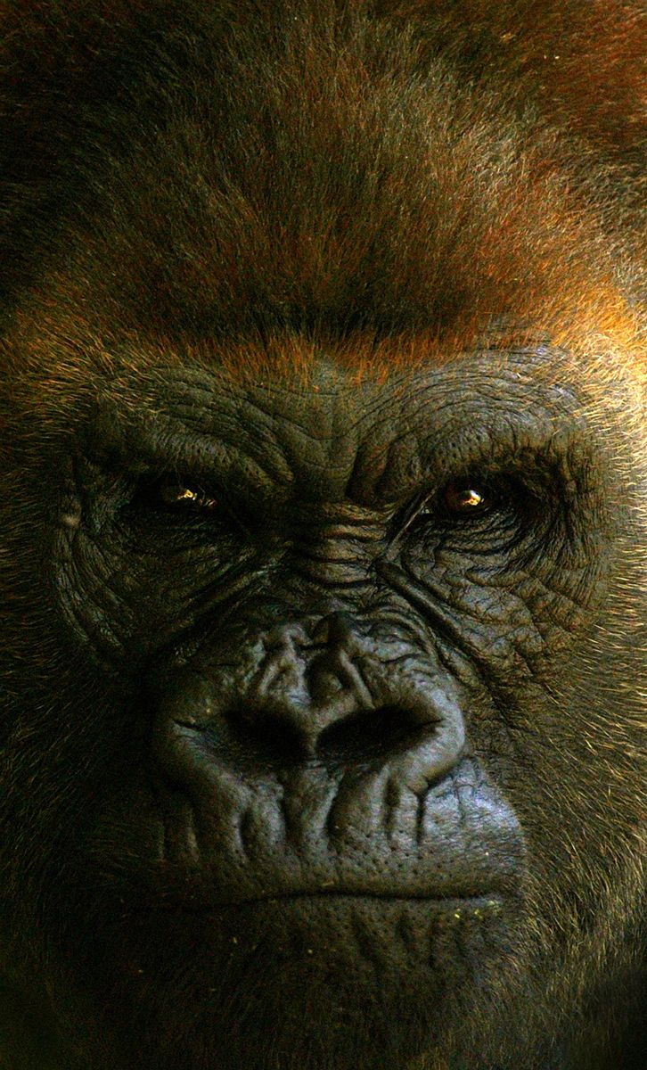 1travel_nature_dm017