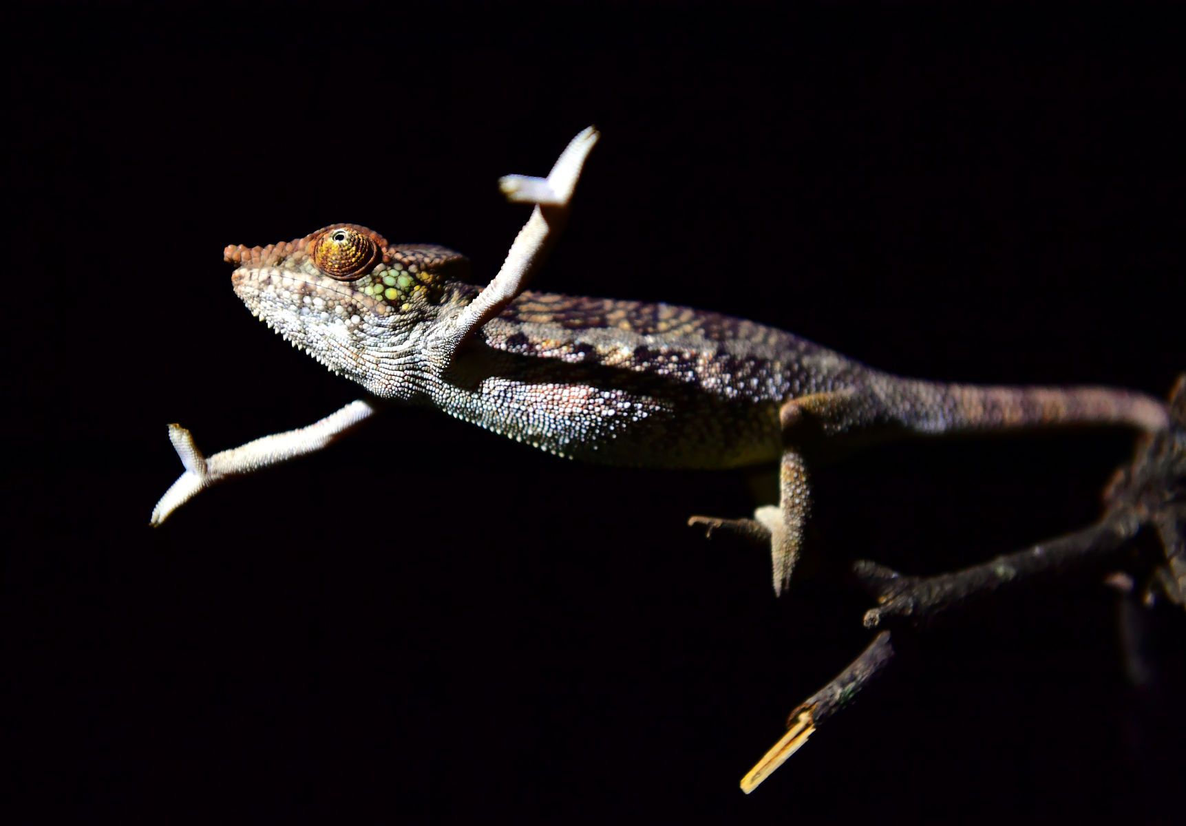 Around the World in 30 Days