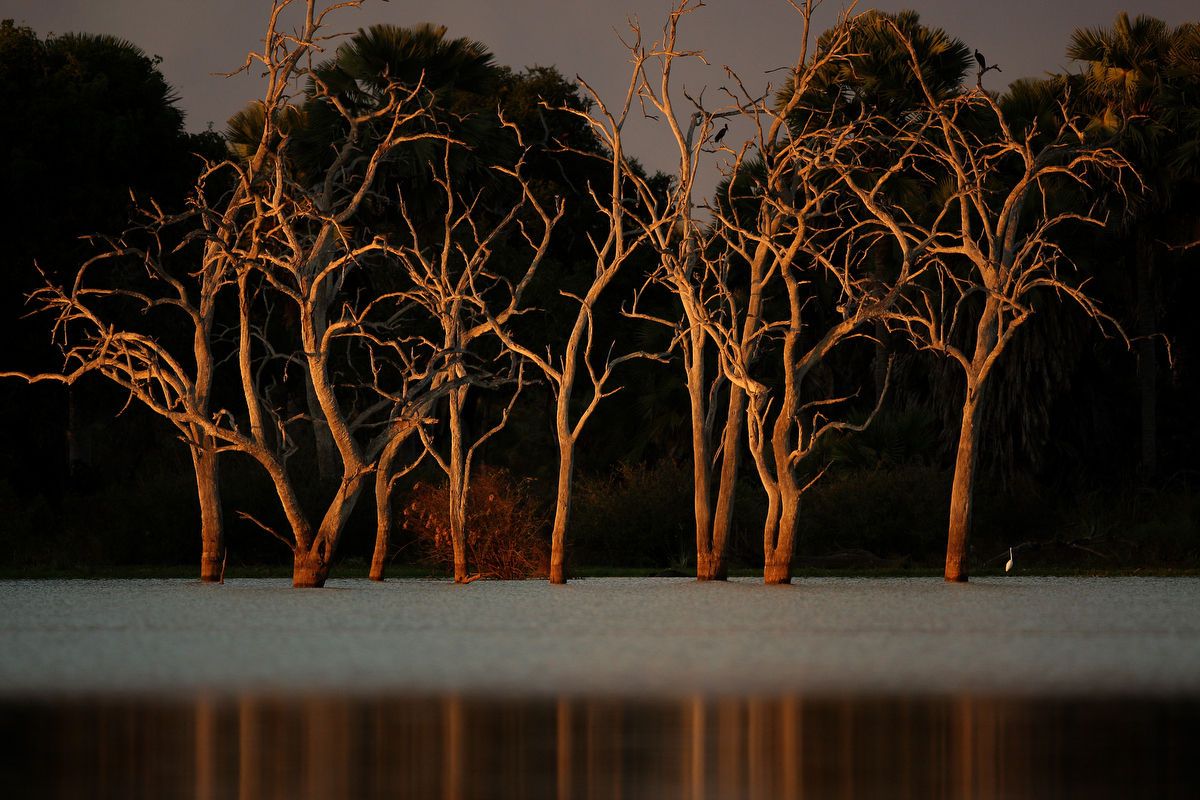 1travel_nature_dm035