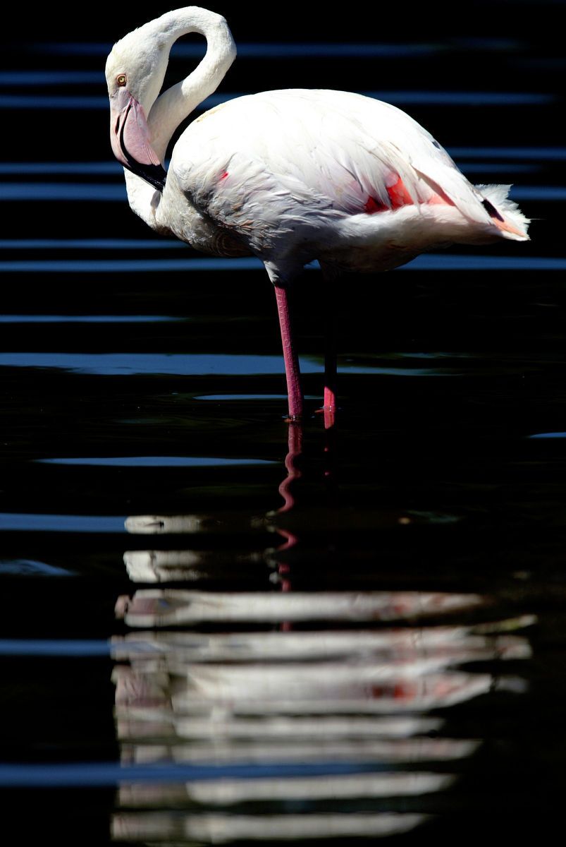 1travel_nature_dm022