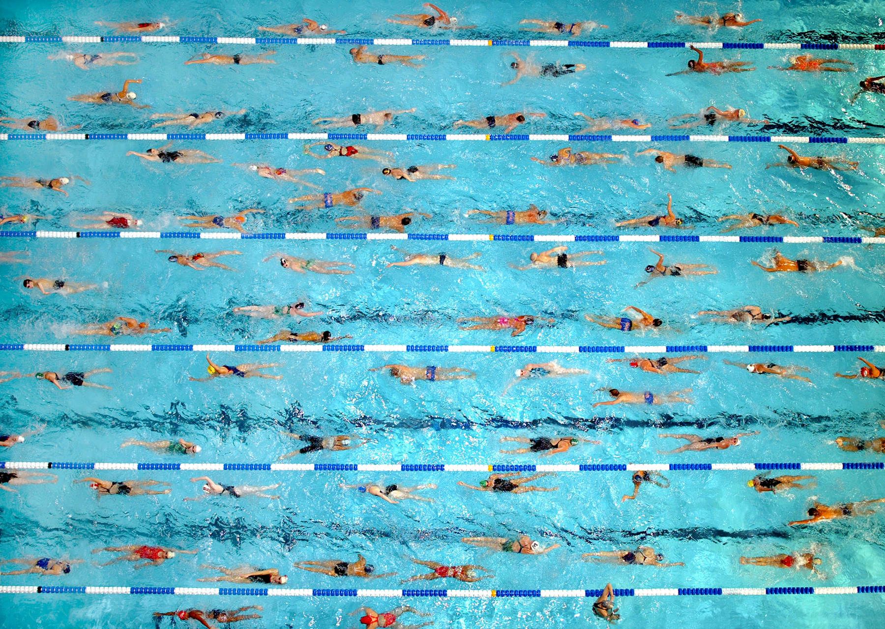 US Swimming National Championships