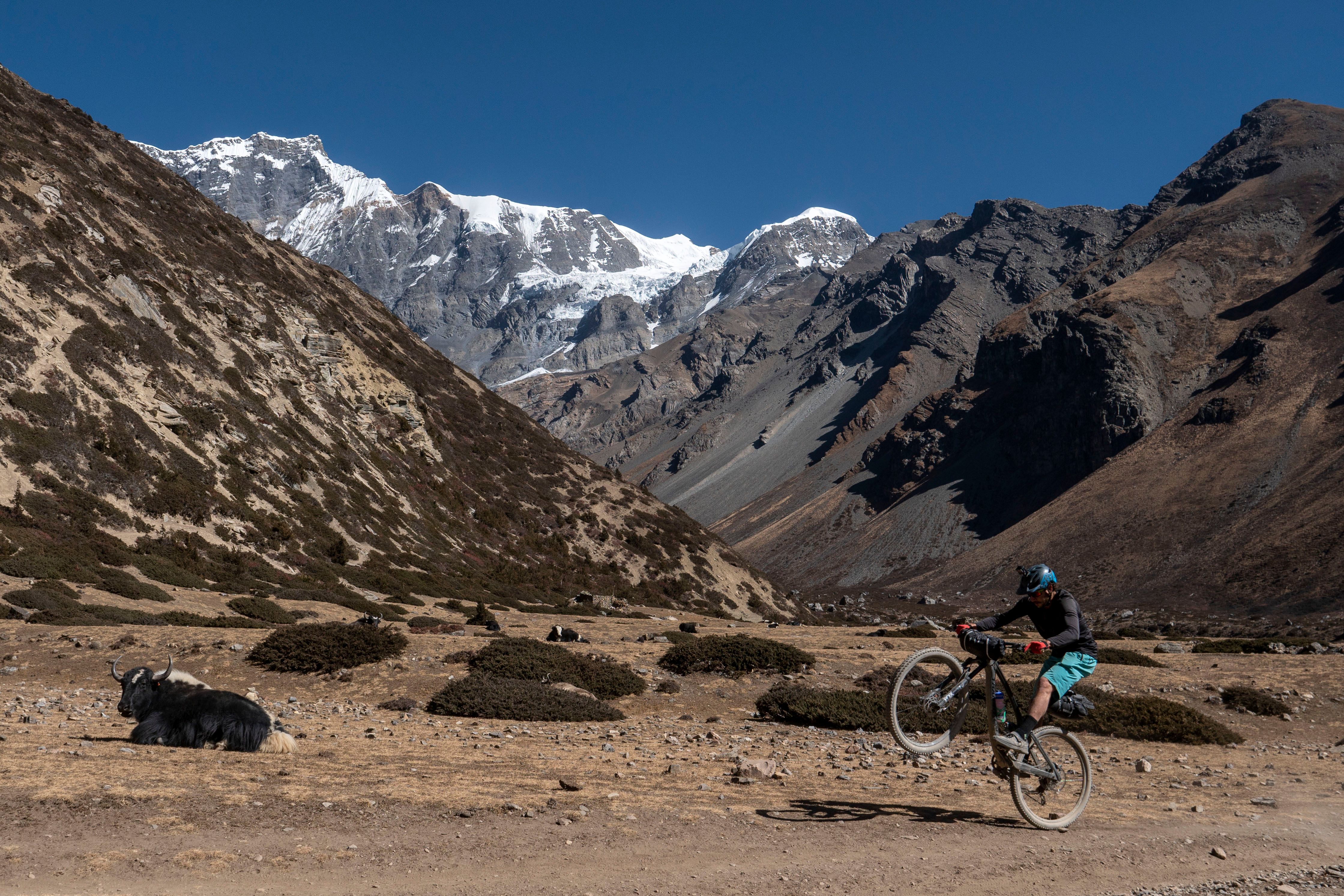 775255072 _YAKATTACK_DM070.jpg