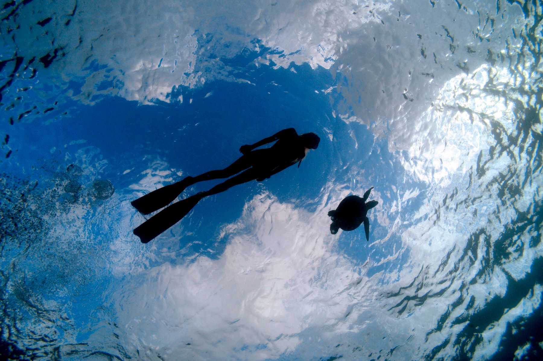 1ocean_ramsey_dm1519