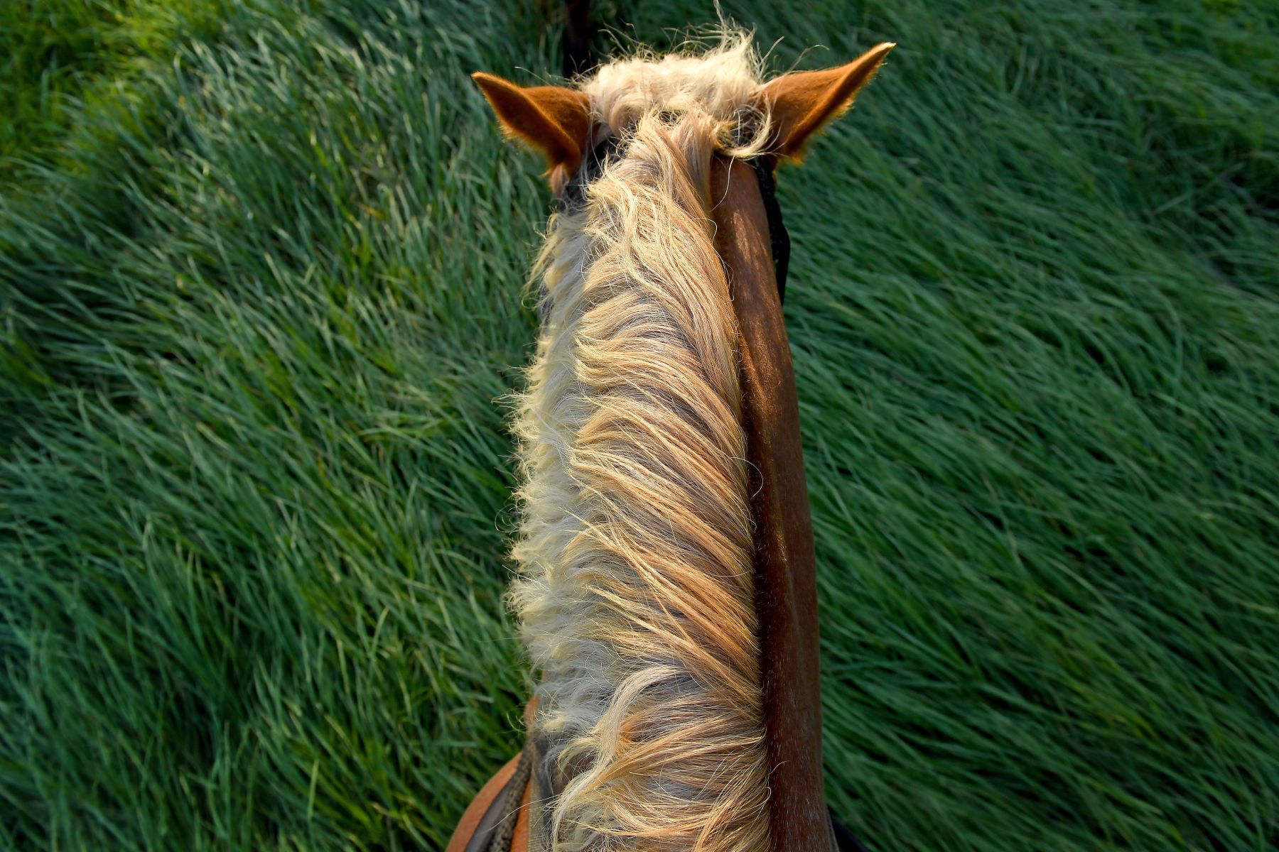 Around the World in 30 Days