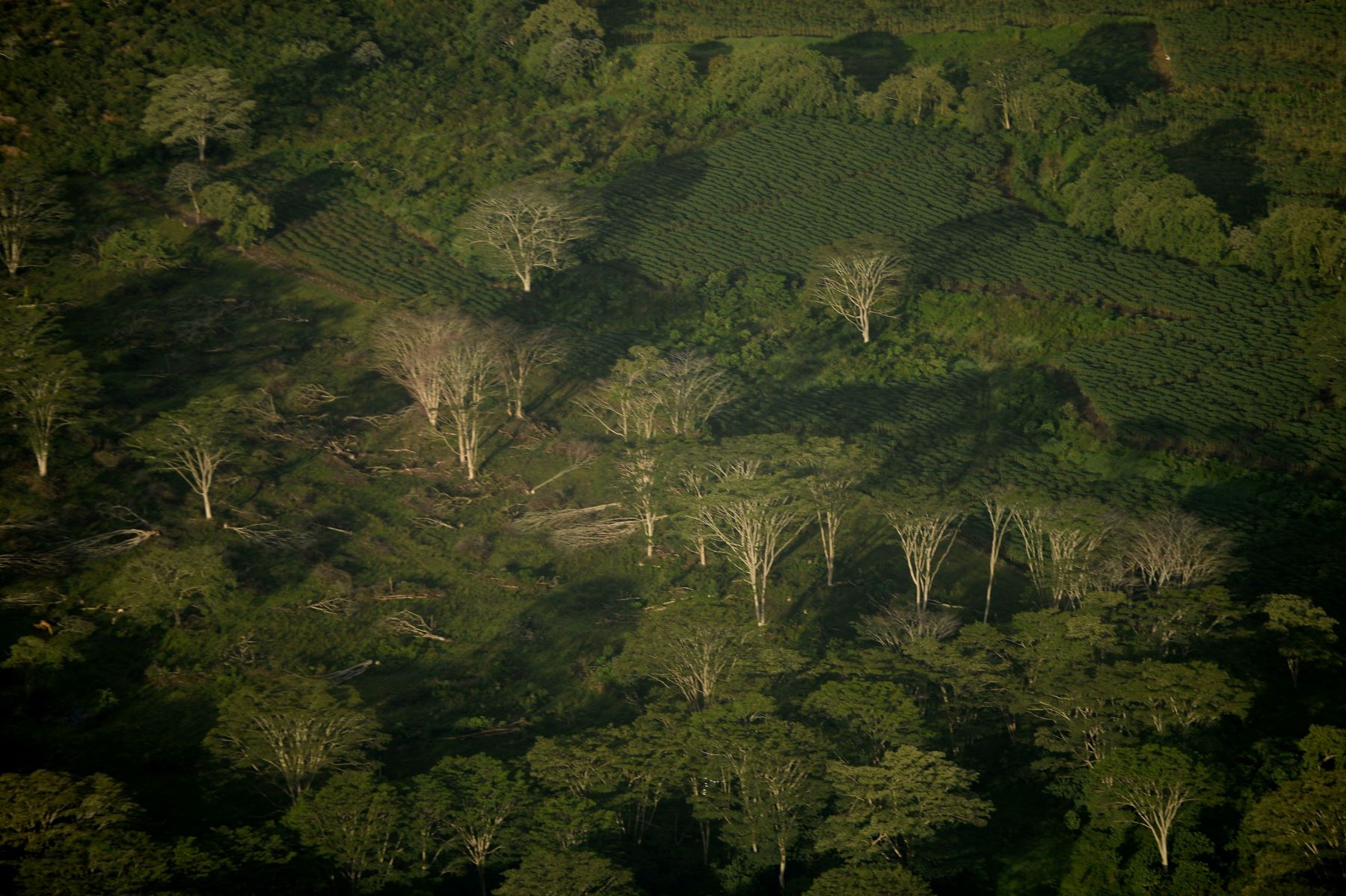 Around the World in 30 Days