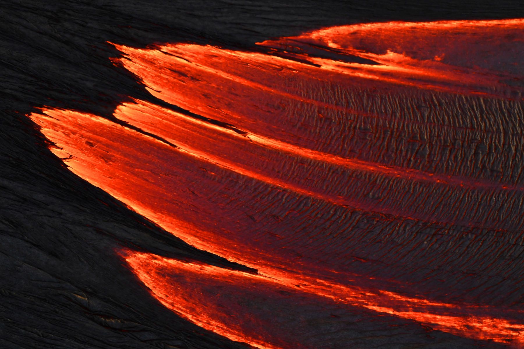 Around the World in 30 Days