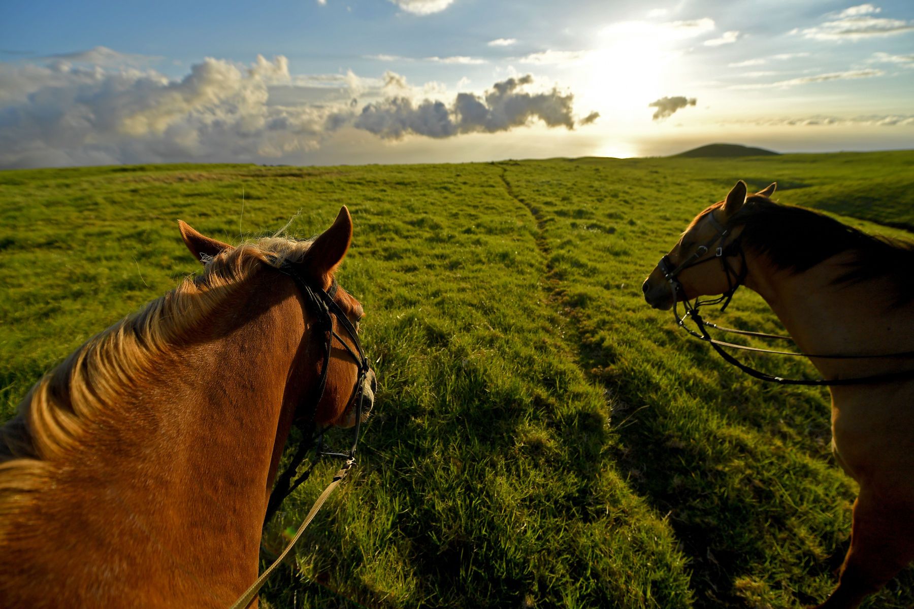 Around the World in 30 Days