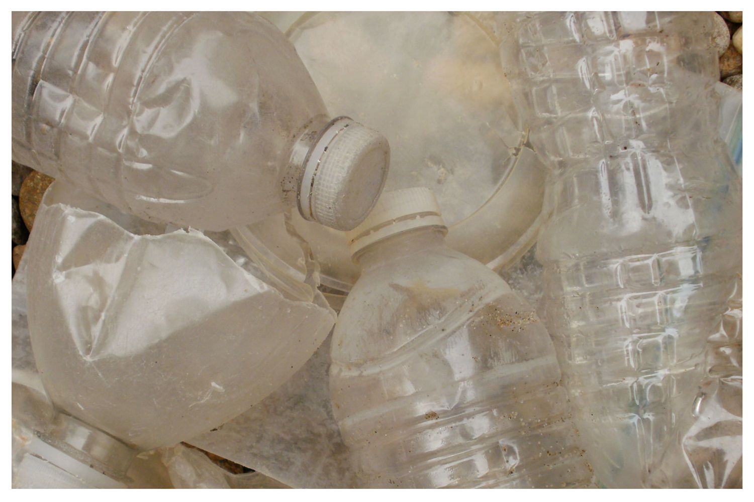 1plastic2