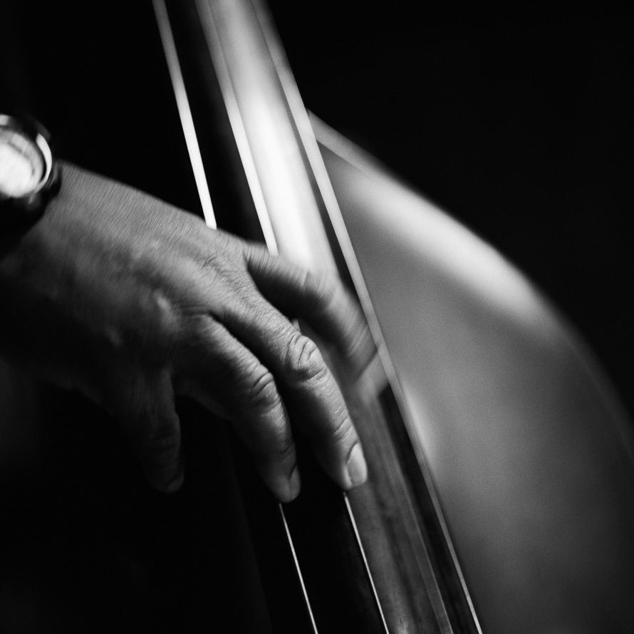 Bass and fingers