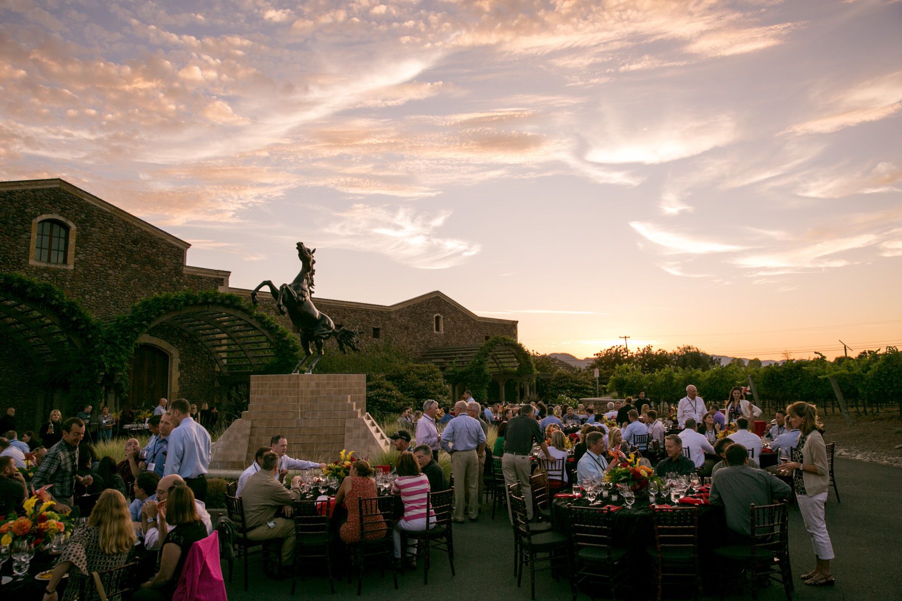 Black Stallion Winery