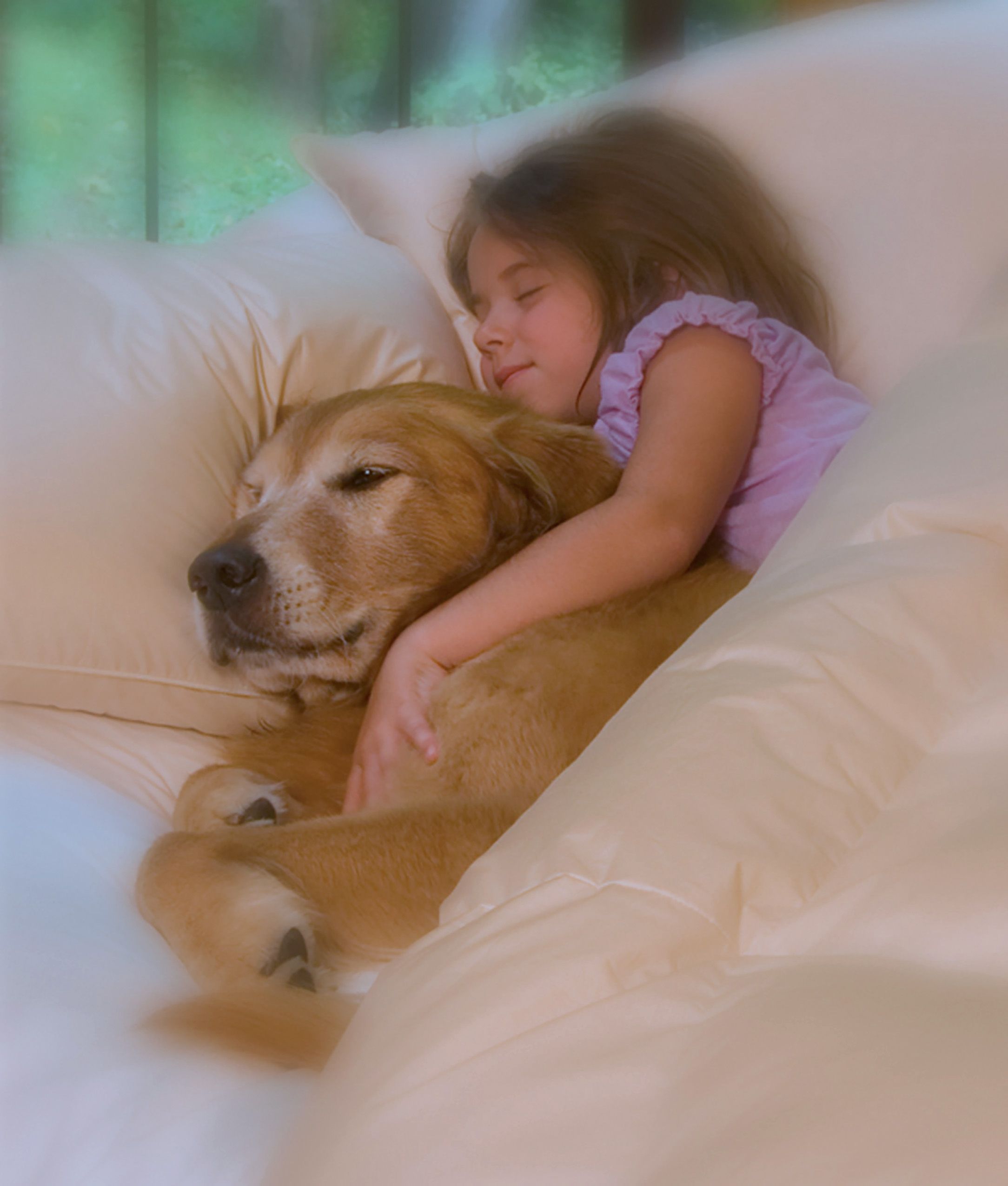 Product 033 copy.jpg