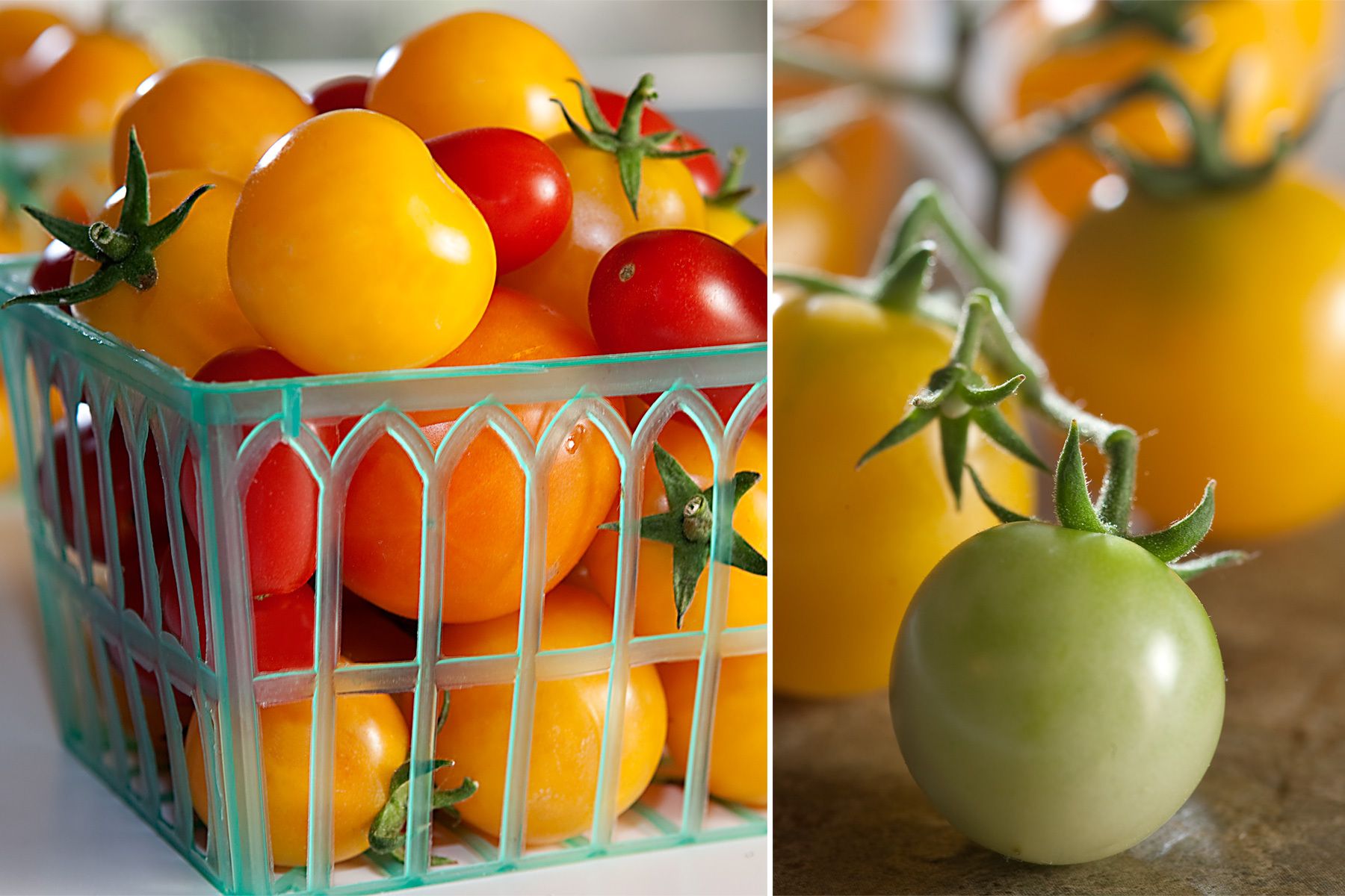 1cherry_tomatoes_and_on_the_vine