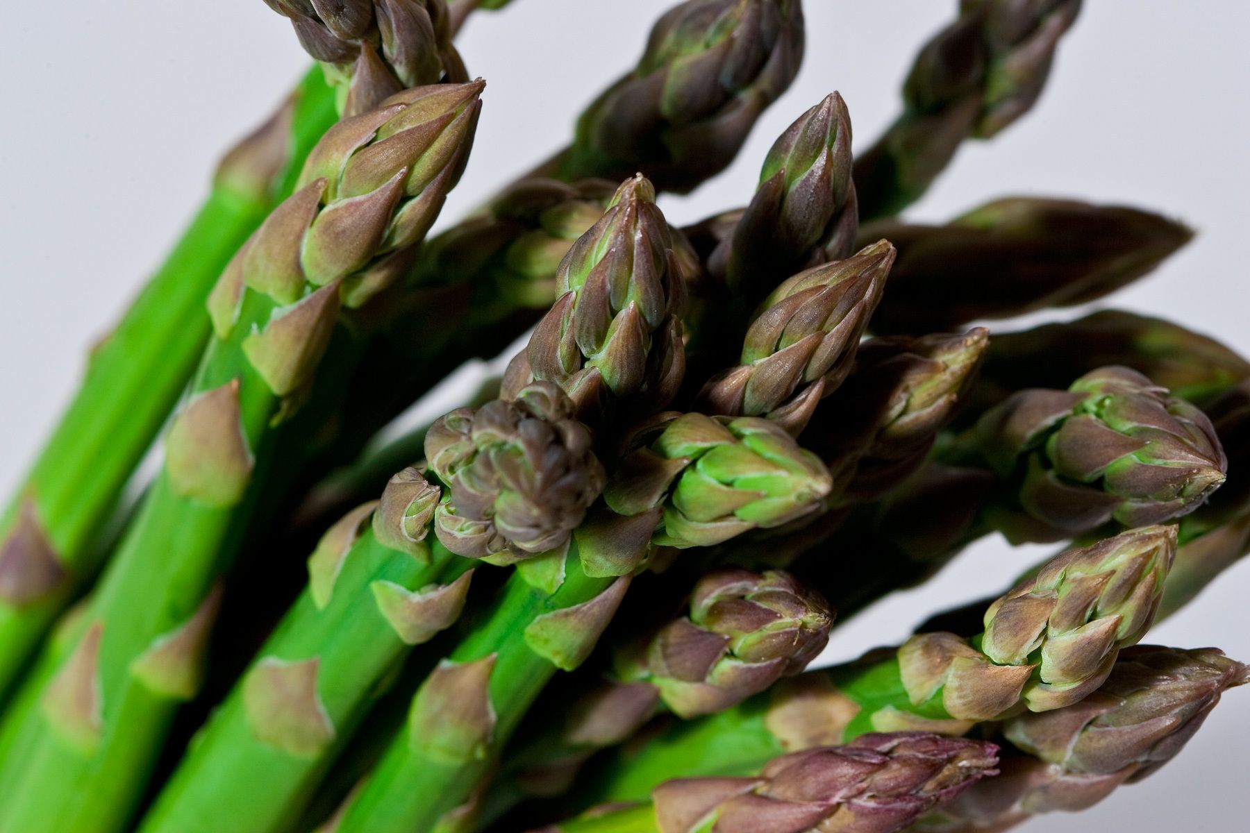 1asparagus_bunch