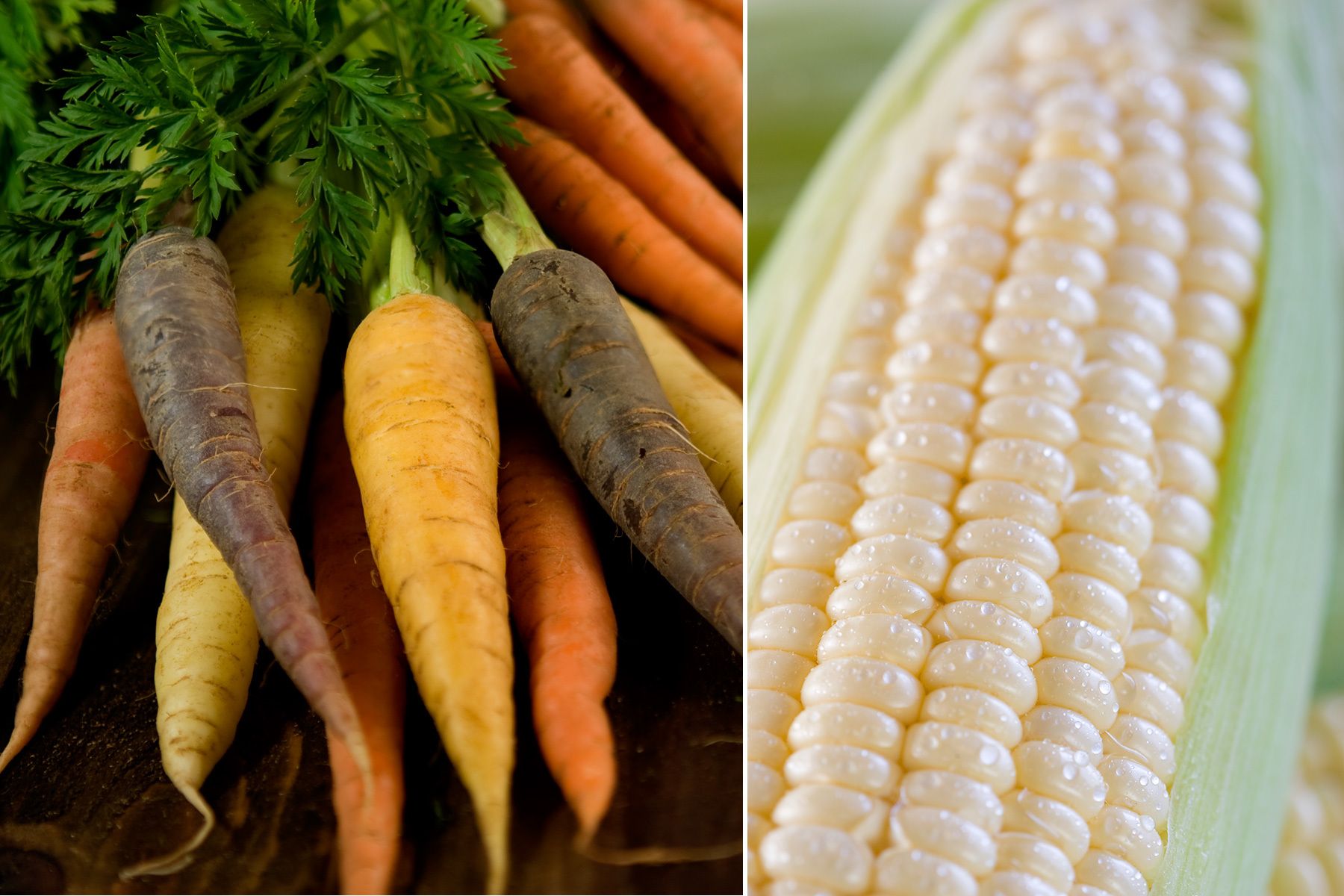 1carrots_and_corn