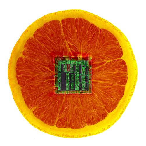 1Electric_Orange.jpg