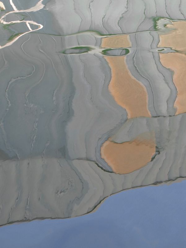 The See Can See