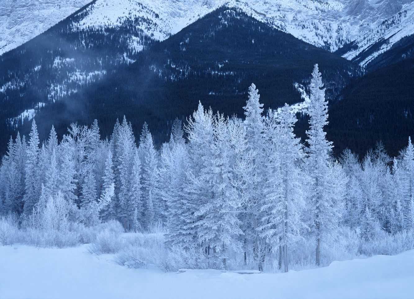 Winter in Kananaskis
