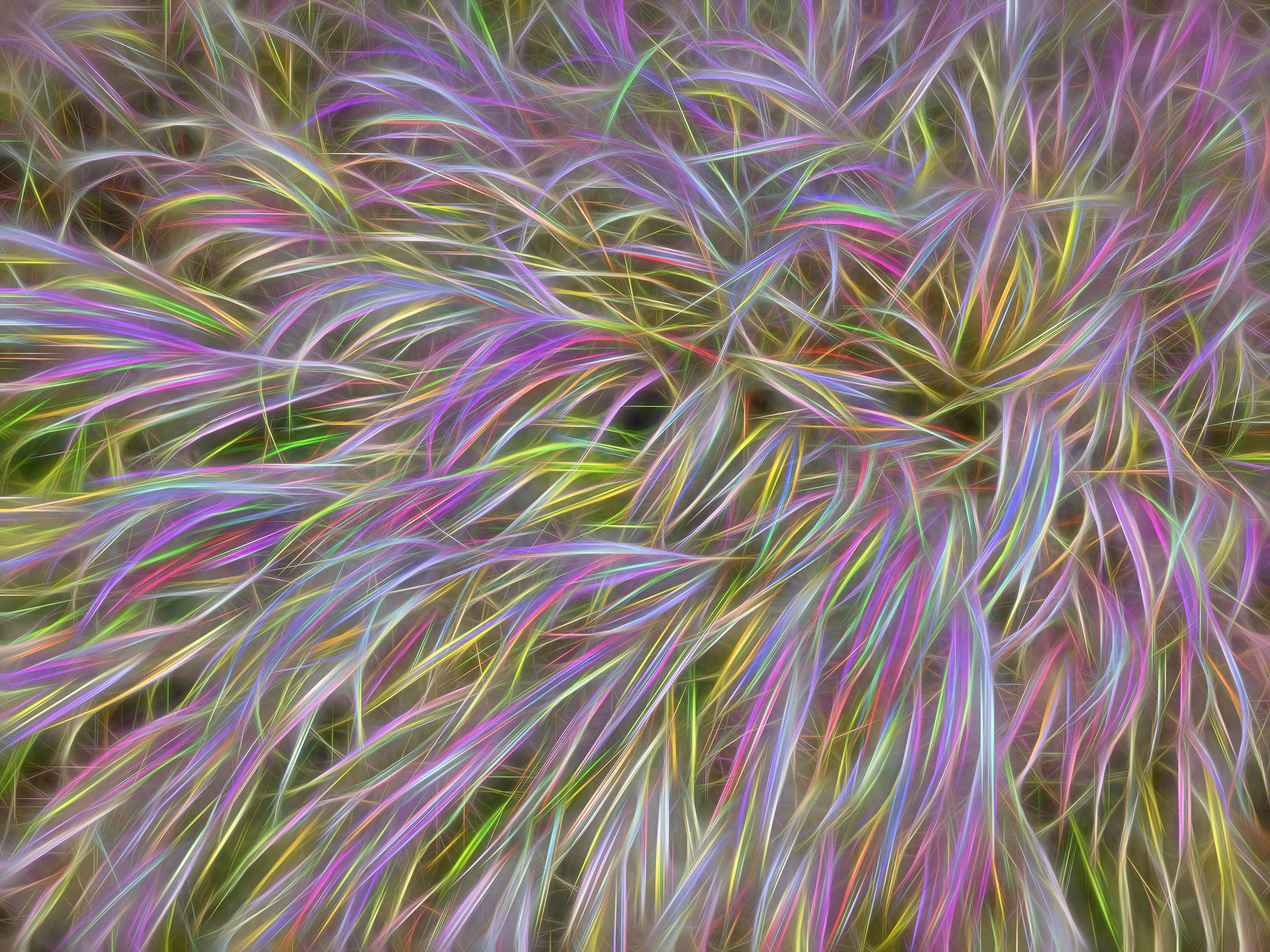 Page 60 Grass Pattern.jpg