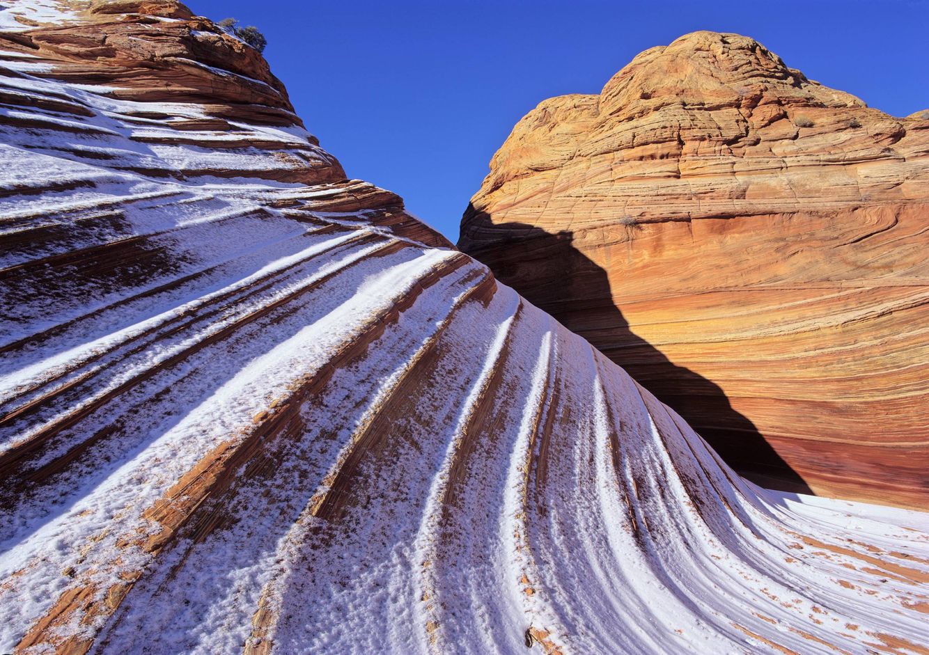 Coyote Buttes in Winter