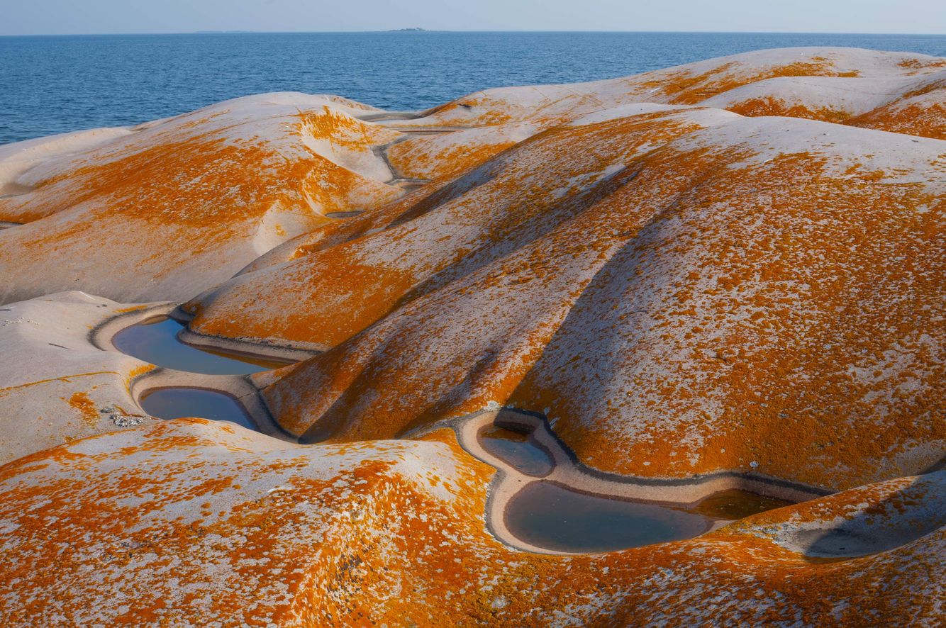 Glaciated Island with Marine Lichen