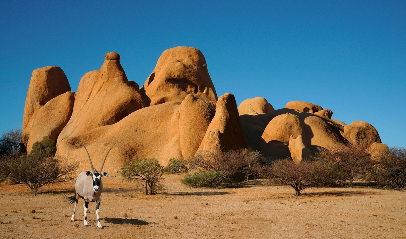 Spitzkoppe Rock and Oryx