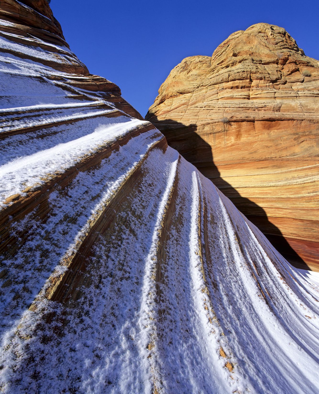 Coyote Buttes Winter