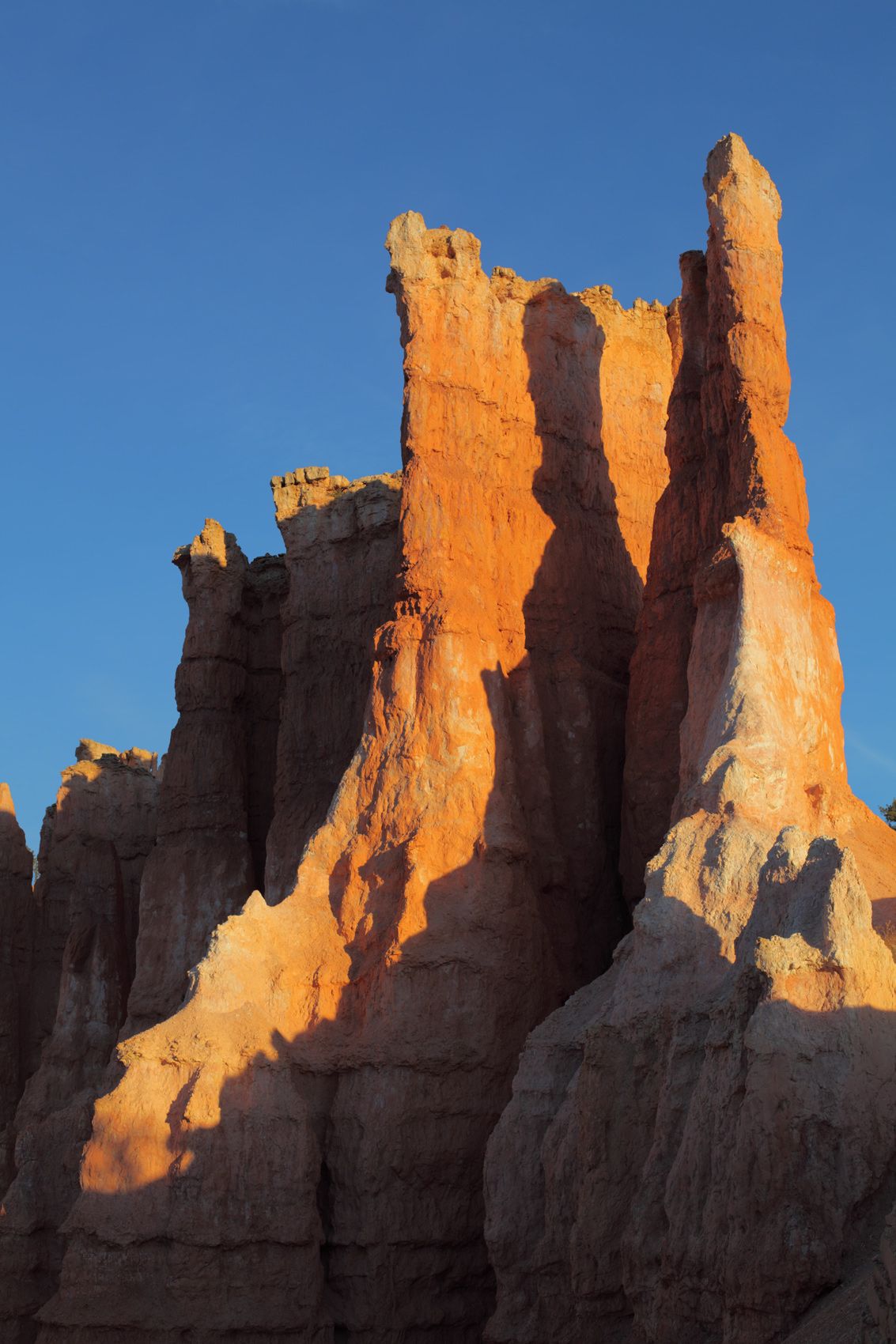 Hoodoo at Bryce Canyon