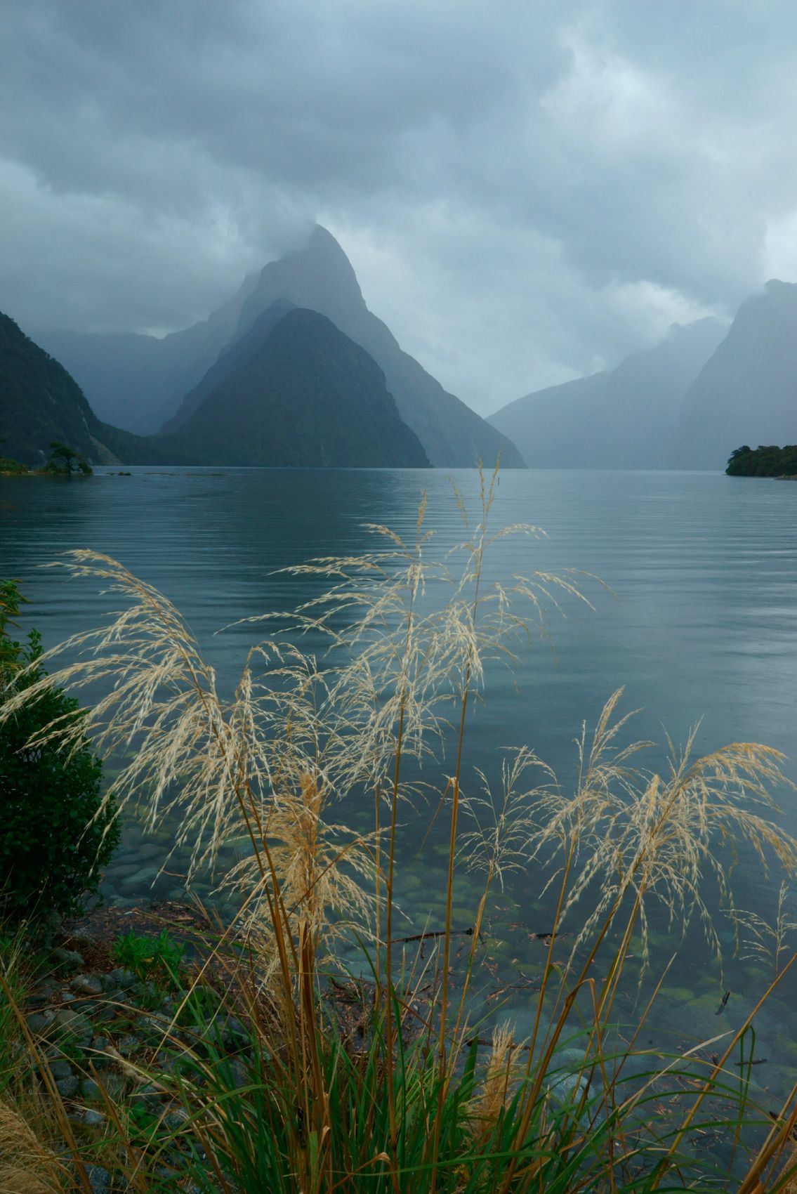 MIlford Sound and Grasses