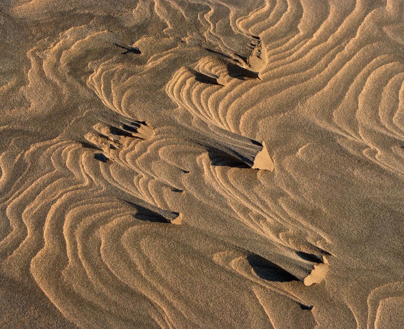 Windblown Sand Pattern
