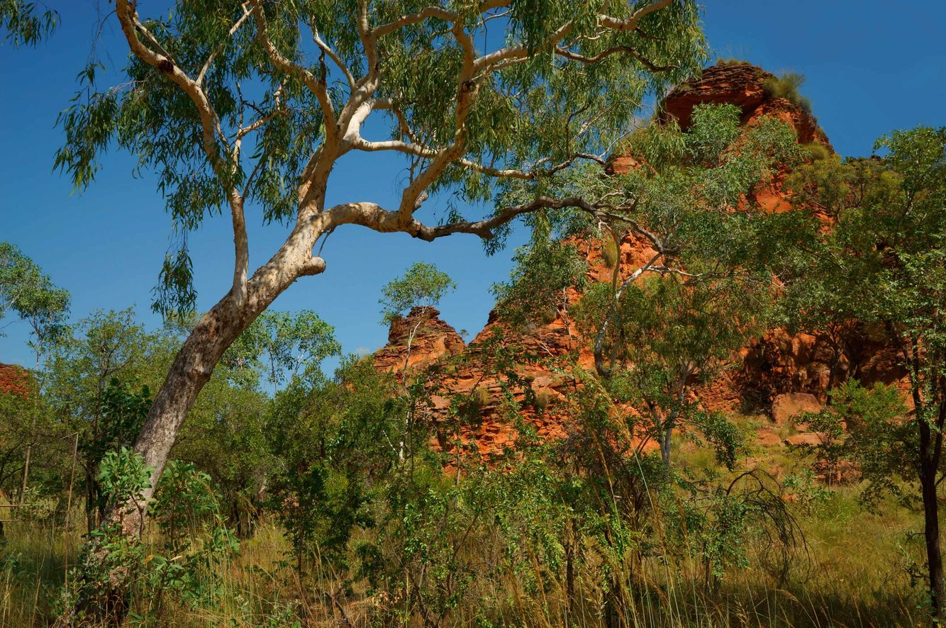 The Australian Outback