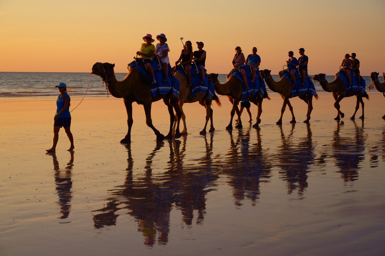 Camel Train on Cable  Beach