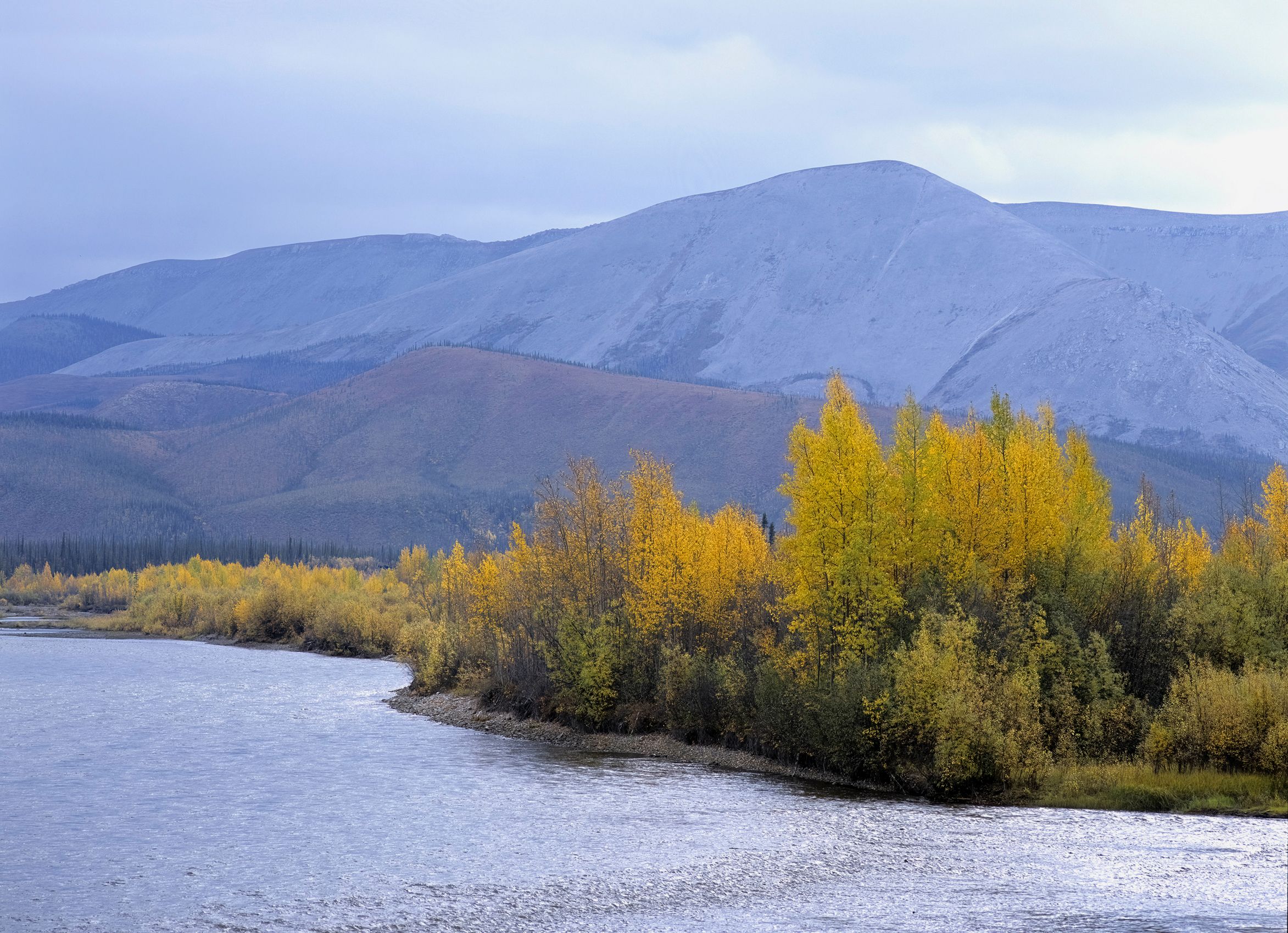 Page 19 Ogilvie Range,  Yukon.jpg
