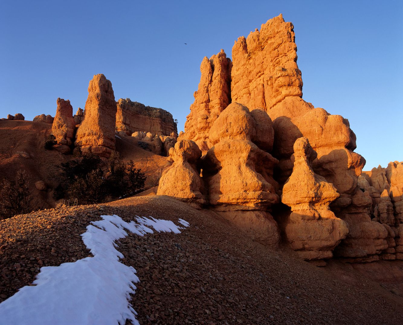 Red Canyon with Snow