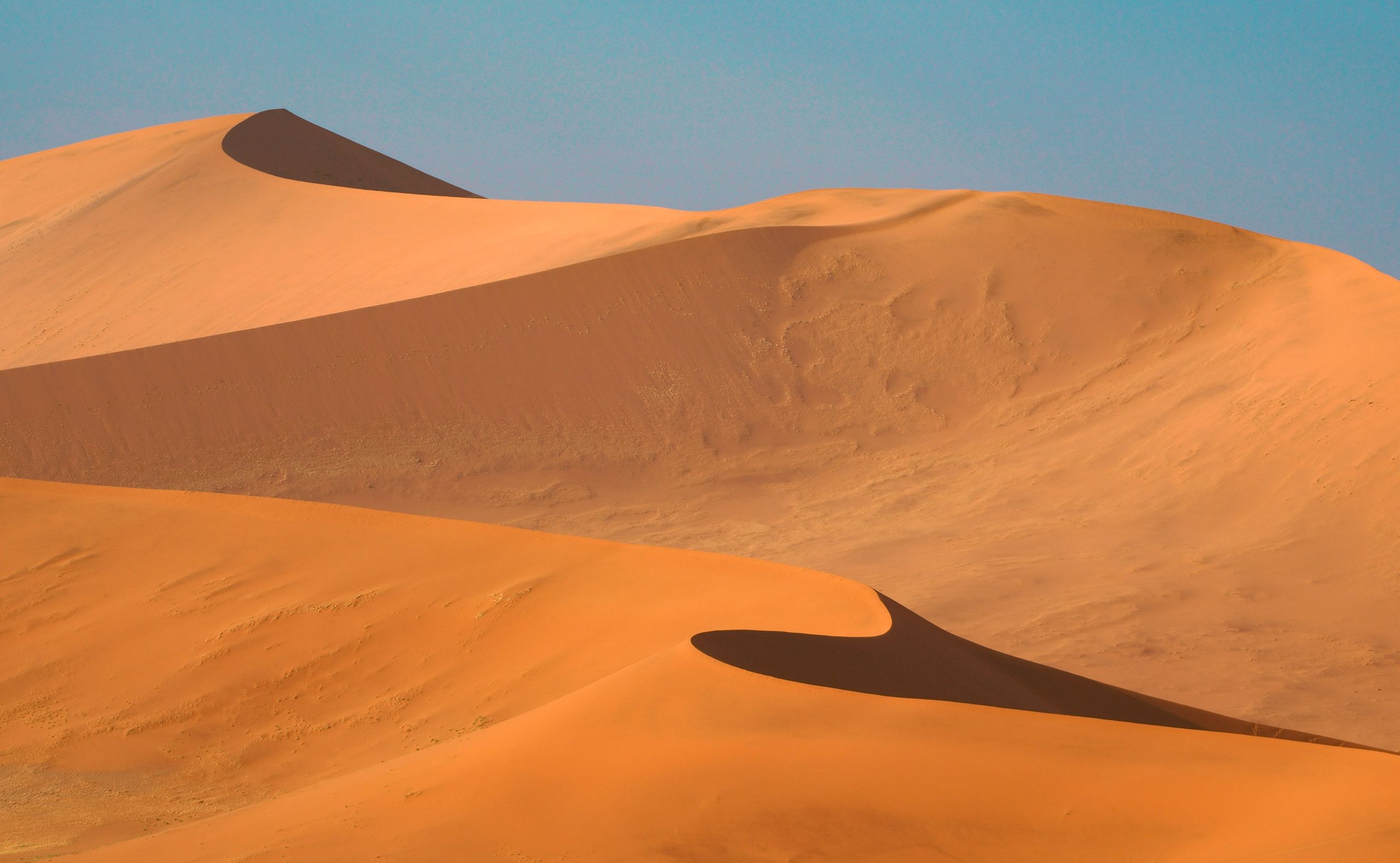 Page 12 Dunes.jpg