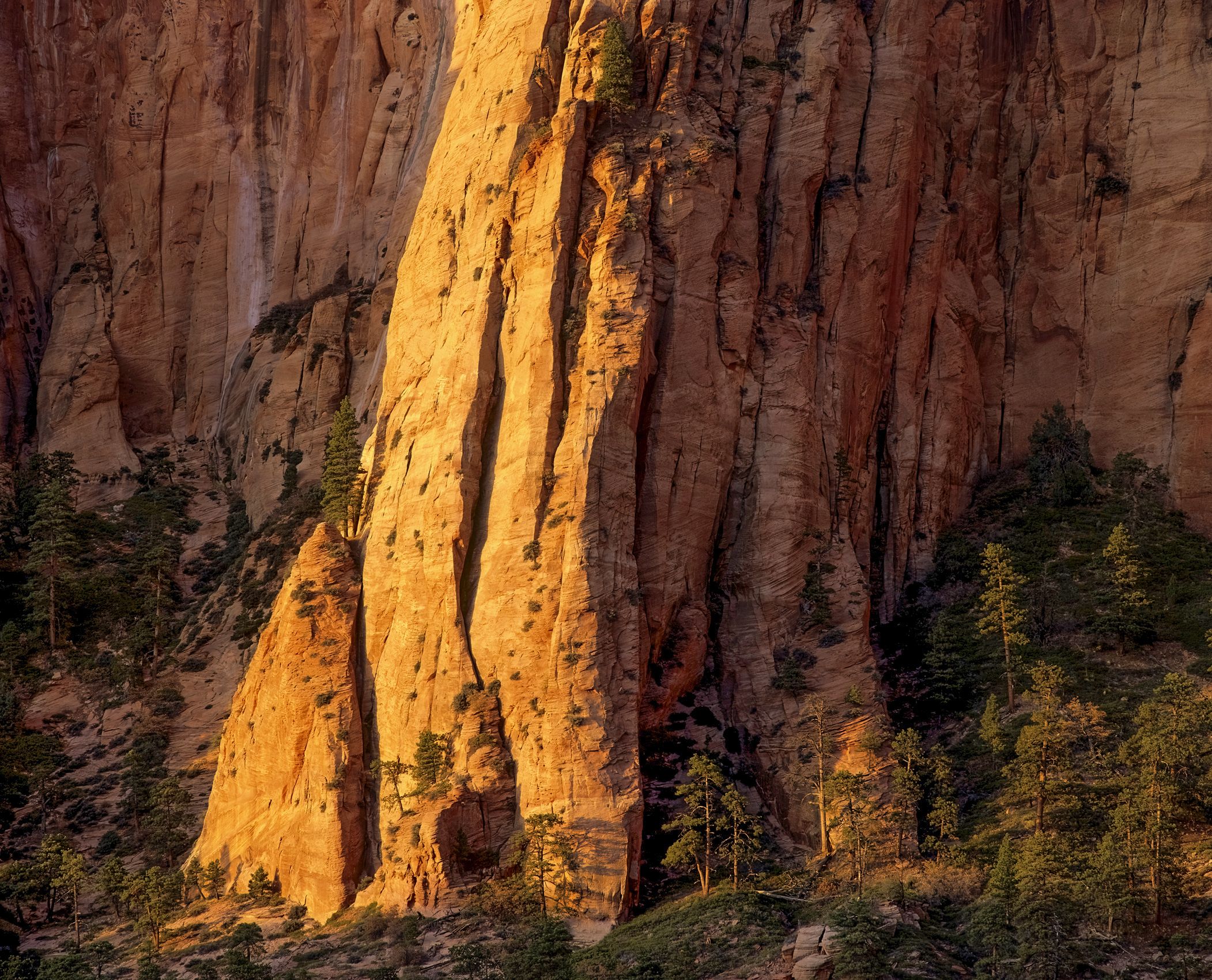Page 35 Zion  Rock.jpg