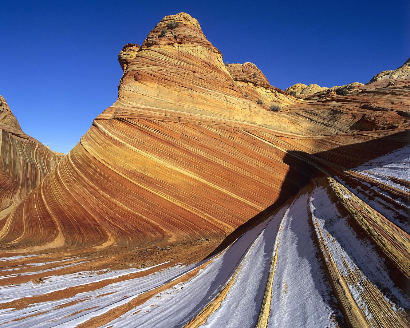 Christmas Day 1991 at Coyote Buttes